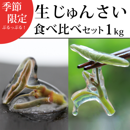 生じゅんさい食べ比べセット1kg タレ4個（生じゅんさい500g、特選生じゅんさい500g） 《冷蔵》（2026年5月上旬頃～7月下旬までに発送予定） 先行受付 842927 - 秋田県三種町