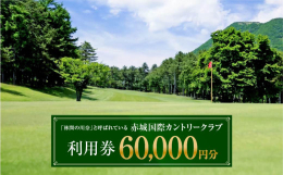 【ふるさと納税】赤城国際カントリークラブ 利用券 60,000円分 3000円券×20枚｜ゴルフ場 ゴルフ利用券 チケット ゴルフ 利用クーポン ラ