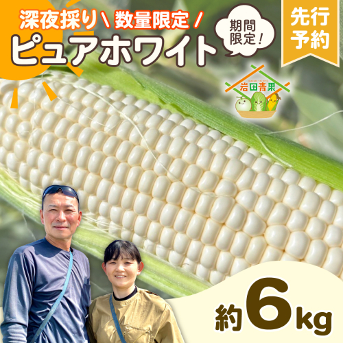 【先行予約 2026年6月下旬以降発送 】 【 令和8年産 】 深夜採り 朝出荷 白い とうもろこし ピュアホワイト 約 6kg トウモロコシ 期間限定 甘い 生食 [AX028ya] 843172 - 茨城県八千代町