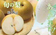 厳選 旬の 梨 約 3kg | フルーツ 果物 くだもの なし ナシ 旬 熊本県 玉名市