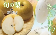 厳選 旬の 梨 約 5kg | フルーツ 果物 くだもの なし ナシ 旬 熊本県 玉名市
