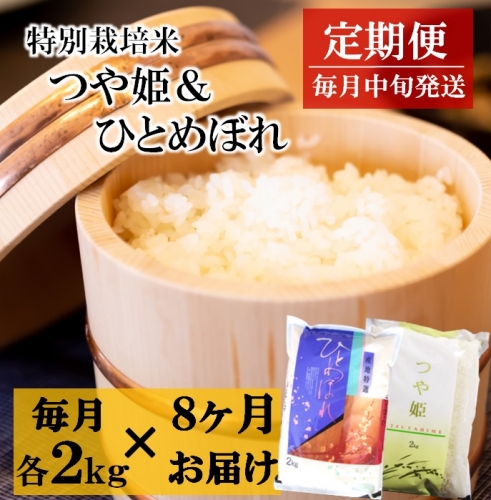 令和6年産【定期便8回】竹原田ファームのつや姫2kgとひとめぼれ2kgの味くらべ×8回 844014 - 山形県三川町