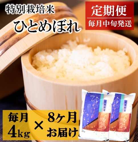 令和6年産【定期便8回】竹原田ファームのひとめぼれ4kg×8回 844015 - 山形県三川町