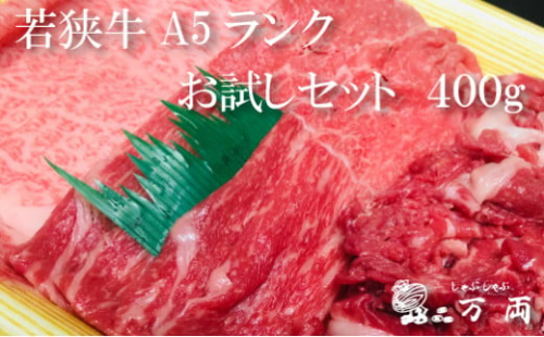 若狭牛A5ランクお試しセット【a5 3種 セット お試し サシ ロース バラ肉 切り落とし しゃぶしゃぶ 専門店 国産】[B-037010]