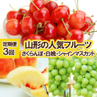 定期便3回★山形の人気フルーツ(さくらんぼ・白桃・シャインマスカット)[令和8年産先行予約]FU23-310