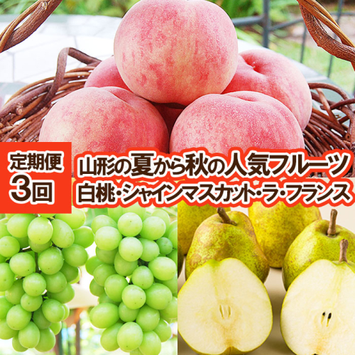 ★定期便3回★山形の夏から秋の人気フルーツ(白桃・シャインマスカット・ラフランス) FY25-834 844136 - 山形県山形市