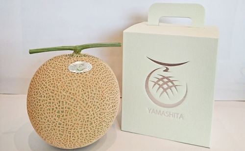 静岡温室メロン 1玉 84426 - 静岡県御前崎市