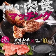 【肉とフライパンが届く】おもいの鉄板28cm《頂-ITADAKI-》&黒毛和牛ヒレステーキ肉５枚セット 牛肉 H051-130