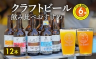 【H01004】クラフトビール　飲み比べおすすめ6種12本セット　ビールコンテスト受賞の醸造所 Yell&Ale Brewery