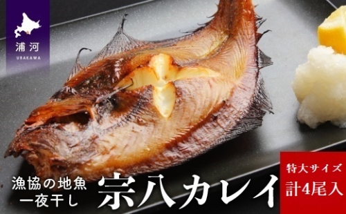漁協の地魚一夜干し 宗八カレイ 特大サイズ(4尾入)[02-1250] 844514 - 北海道浦河町