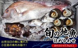 【ふるさと納税】小豆島から直送！朝獲れ鮮魚 旬の地魚詰め合わせ 2.5kg以上