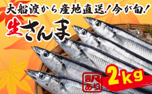 【2025年 先行予約】訳あり さんま 約2㎏ 冷蔵 秋刀魚 サンマ 生サンマ 海産物 海鮮 魚介 魚介類 大船渡 三陸 岩手県 国産