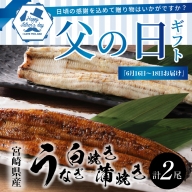 【父の日ギフト】『6月16日～18日お届け』宮崎県産 うなぎ 白焼き 蒲焼き 2尾セット K10_0021