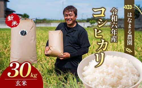 はなまる農園令和6年新米香川県産「コシヒカリ（玄米）30kg」 84648 - 香川県東かがわ市
