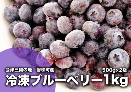 【予約】【冷凍】ブルーベリー 1kg 直径13mm以上　※令和8年7月中旬発送予定 84666 - 福島県磐梯町