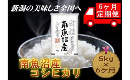 【6ヶ月連続お届け】南魚沼産コシヒカリ　5kg　新潟県　南魚沼　南魚沼産　こしひかり　米　お米 846793 - 新潟県新潟県庁