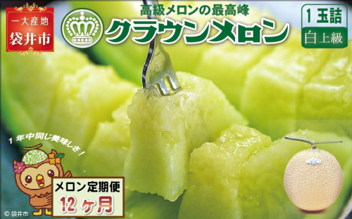 【12ヶ月定期便】クラウンメロン（白上級）1玉入  84712 - 静岡県袋井市