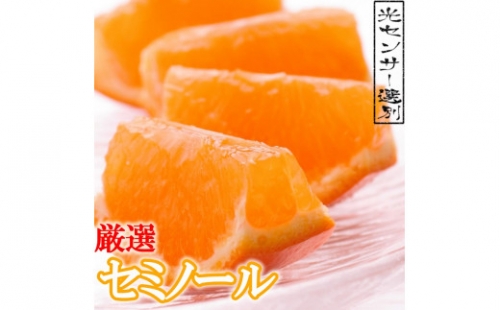 ＜4月より発送＞厳選セミノールオレンジ3kg+90g（傷み補償分）【春みかん】【有田産】【光センサー食べ頃出荷】 847187 - 和歌山県新宮市