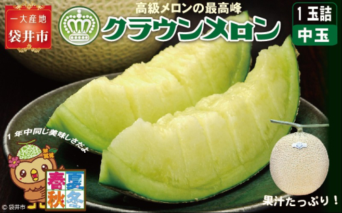 クラウンメロン（白等級）中玉　1玉入 果物類 メロン青肉  84718 - 静岡県袋井市