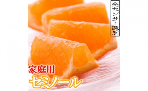 ＜4月より発送＞家庭用セミノールオレンジ7.5kg+225g（傷み補償分）【有田の春みかん】【有田産】【光センサー食べ頃出荷】【わけあり・訳あり】 847196 - 和歌山県新宮市