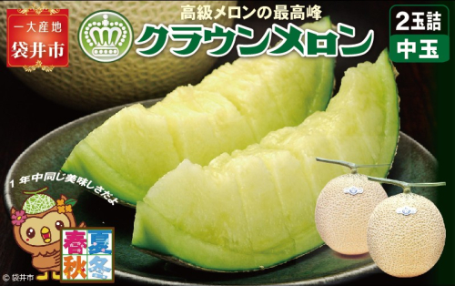 クラウンメロン（白等級）中玉　2玉入 果物類 メロン青肉  84719 - 静岡県袋井市