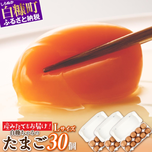 たかはしさんの新鮮卵30個 847273 - 北海道白糠町