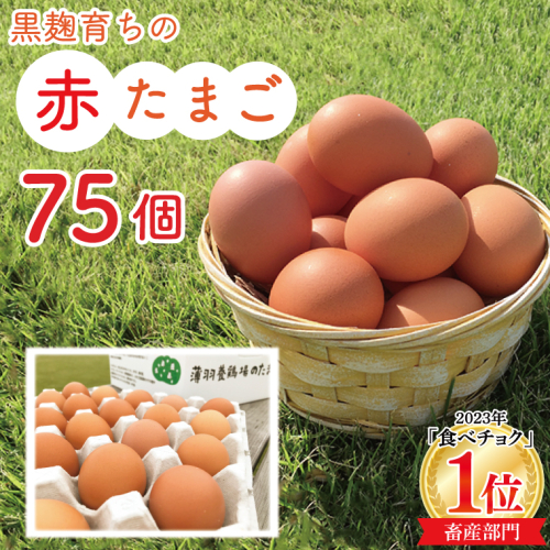 【先行予約】【2026年2月より順次発送】＼大容量／黒麹育ちの赤たまご75個 |栃木県 益子町 ふるさと納税 たまご 卵 タマゴ 赤たまご 人気 濃厚 食べチョク (BC008) 847327 - 栃木県益子町