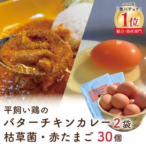 BC002　「平飼い鶏のバターチキンカレー2袋」と「枯草菌・赤卵30個」のセット 847331 - 栃木県益子町