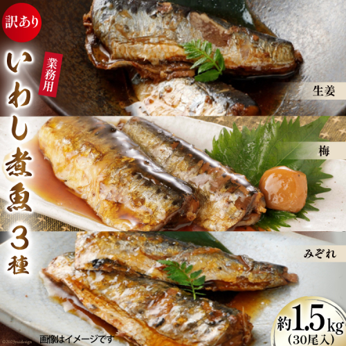 訳あり 業務用 いわし煮魚 3種 ×10尾 計30尾入 約1.5kg 簡易包装 [カネダイ 宮城県 気仙沼市 20565562] 魚 魚介 煮魚 国産 生姜煮 梅肉煮 みぞれ煮 おかず 焼き魚 簡単 時短 訳アリ 冷凍 847462 - 宮城県気仙沼市