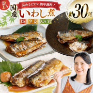 訳あり 業務用 いわし煮魚 3種 ×10尾 計30尾入 約1.5kg 簡易包装 [カネダイ 宮城県 気仙沼市 20565562] 魚 魚介 煮魚 国産 生姜煮 梅肉煮 みぞれ煮 おかず 焼き魚 簡単 時短 訳アリ 冷凍