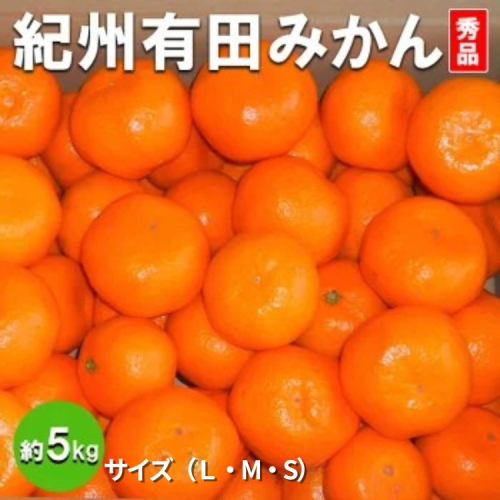 紀州有田みかん 秀品 約5kg(Ｌ・М・S) 847590 - 和歌山県美浜町