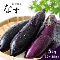 なす 5kg 和水町産 野菜 5月下旬～発送いたします | 熊本県 熊本 くまもと 和水町 なごみまち なごみ なす ナス 茄子 なすび 野菜 季節の野菜 季節限定