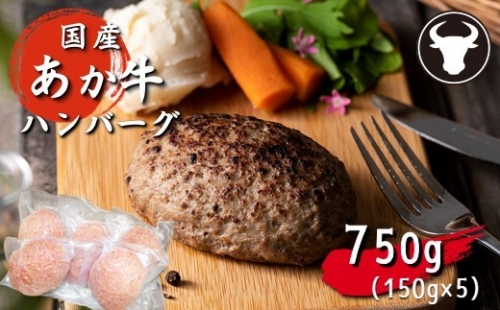 ハンバーグ 旨味凝縮あか牛100％ハンバーグ　750ｇ（150ｇ×５個） | 熊本県 熊本 くまもと 和水町 なごみまち なごみ 牛肉 肉 あか牛 赤牛 肥後 冷凍 847769 - 熊本県和水町