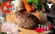ハンバーグ 旨味凝縮あか牛100％ハンバーグ　750ｇ（150ｇ×５個） | 熊本県 熊本 くまもと 和水町 なごみまち なごみ 牛肉 肉 あか牛 赤牛 肥後 冷凍