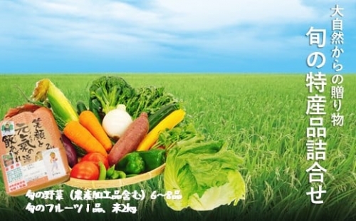 旬の特産品詰合せ(野菜 6～8品、フルーツ、お米) 847775 - 熊本県和水町