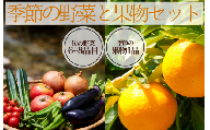湯の花　季節の野菜と果物セット　 柑橘  果物 野菜 静岡県産 南伊豆町  定期便 おまかせ 旬 みかん やさい