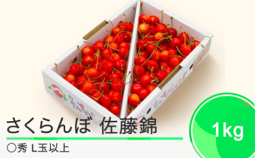  さくらんぼ 佐藤錦 1kgバラ ◯秀 L玉以上 2025年産 令和七年 果物 フルーツ 山形県産 ja-snbax1