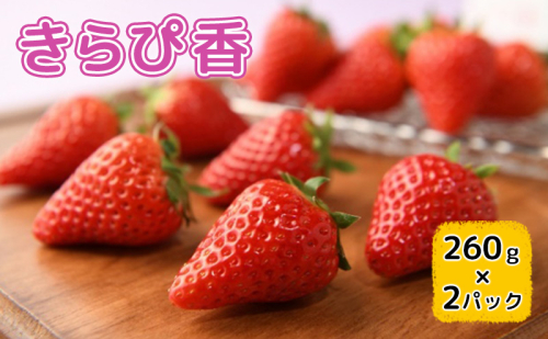 【2026年1月中旬より順次発送】いちご きらぴ香 260g×2パック【配送不可：離島】 果物 フルーツ デザート 食後 新品種 酸味が少ない 甘味が強い 国産 静岡県産 浜松市産  848391 - 静岡県浜松市