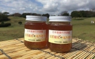 日本みつばちの天然蜜　160g×2本
