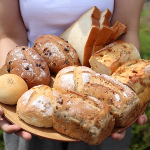 お米の甘味がギュッと詰まったおまかせ冷凍パン コシヒカリ 黄金の煌き