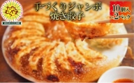 ジャンボ焼き餃子 10個×2パック【1295867】