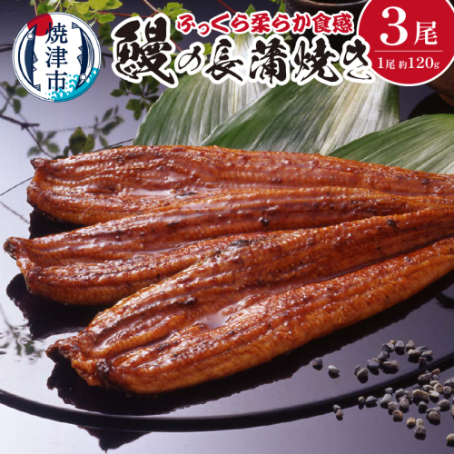 a29-002　鰻 の 長蒲焼き 3尾 詰合せ 85079 - 静岡県焼津市