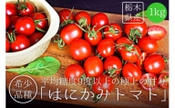 太陽の恵みをたっぷり浴びた はにかみトマト 1kg ミニトマト  真岡市 栃木