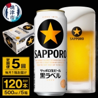 T0037-2005　【定期便 5回】ビール 黒ラベル サッポロ 500ml