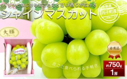 シャインマスカットの特徴は、抜群の食べやすさです。種無しで皮ごと食べるので、美味しさがまるごと味わえます。パリッとはじける歯ごたえと甘い香りが果汁と一緒に一気に口いっぱいに広がります。贈答用にもおすす