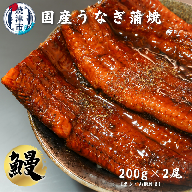 a15-433　うなぎ 蒲焼き 約200g×2尾 鰻 ウナギ