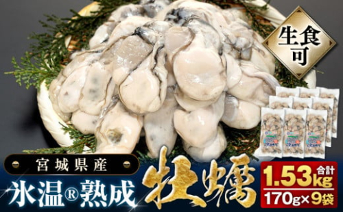 【 先行予約 】 生食用 牡蠣 宮城県産 氷温熟成 かき 生食用（冷凍）170g×9袋 約1.5kg 小分け 冷凍 バラバラ冷凍 2025年3月中旬から順次発送予定