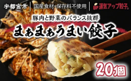 餃子の本場宇都宮から発送します。【運気アップ餃子】は、宇都宮餃子のお持ち帰り専門店です。宇都宮餃子会正組合員として素材にもこだわりました。「豚肉餃子の特徴」豚肉、鶏肉、キャベツ、白菜など国産のみを使用