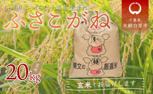 【新米】令和6年産  千葉県産「ふさこがね」玄米20kg（20kg×1袋） お米 20kg 千葉県産 大網白里市 ふさこがね 米 玄米 こめ 送料無料