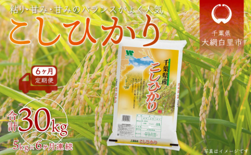 ＜6ヶ月定期便＞千葉県産「コシヒカリ」5kg×6ヶ月連続 計30kg ふるさと納税 米 定期便 5kg コシヒカリ 千葉県 大網白里市 送料無料